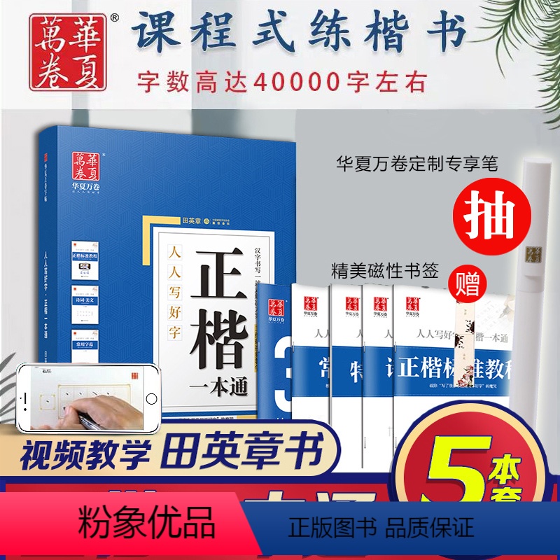 [正版]笔正楷字帖成人 田英章书楷书入门正楷一本通硬笔书法教程教师推钢笔字帖楷书法小学生练字男女生字帖临摹入门高清大图