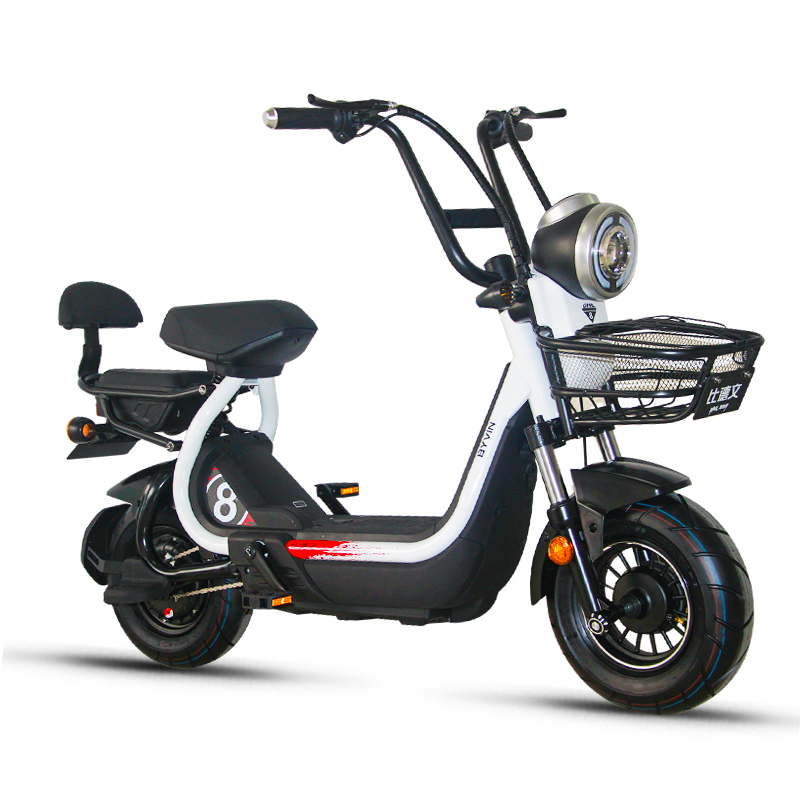 比德文电瓶车锂电池电动车电动自行车魔王pro 可取充电TDT1819Z
