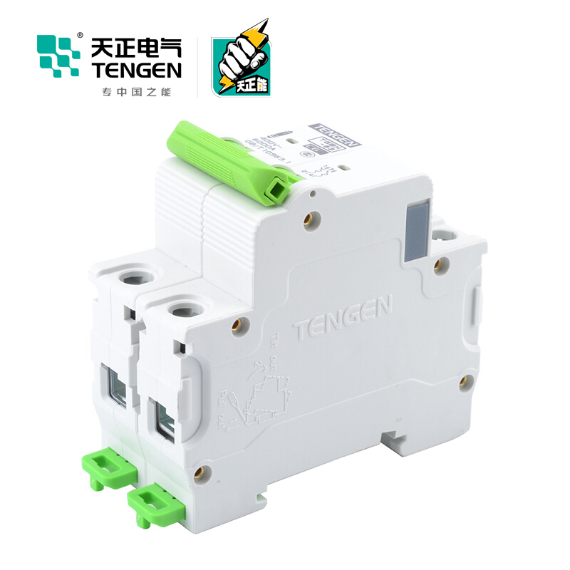 天正电气瑞彩系列TGBH-63 空气开关 6KA 2P C 63A 335013800042 微型断路器