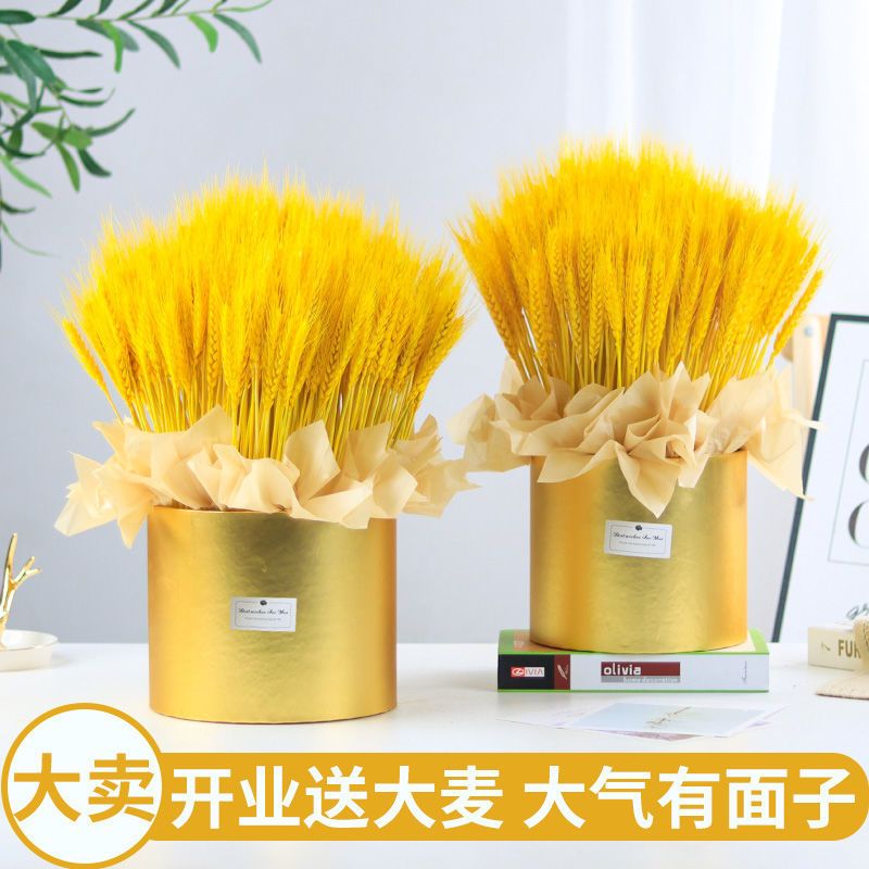 天然麦穗干花花束开业大麦客厅田园装饰摆件干花插花花蓝道具 原色麦穗100枝