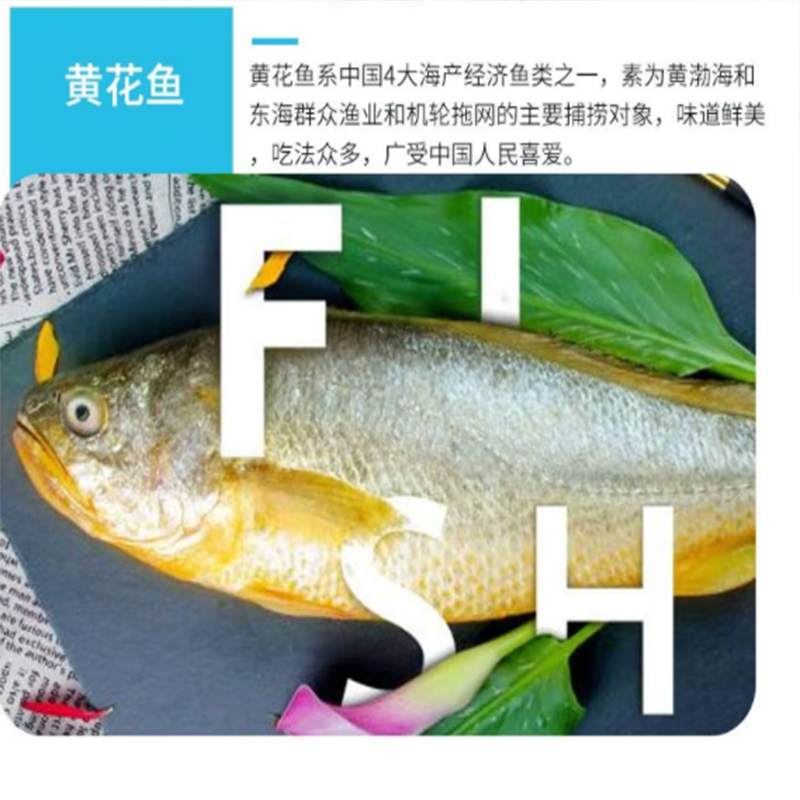 鲜禾鲜 国产海鲜系列 鲜禾鲜海捕小将国产海鲜礼盒C 鲜美可口 营养美味 2900g 单盒价高清大图
