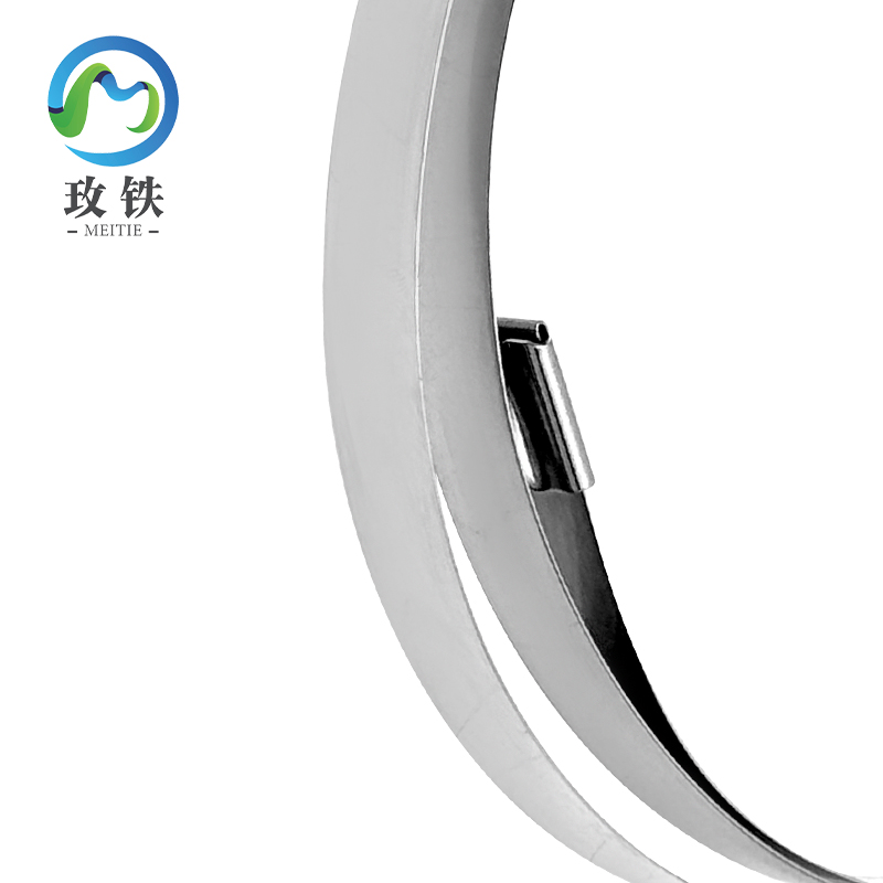 玫铁 自锁式不锈钢扎带 19*1600mm 条高清大图