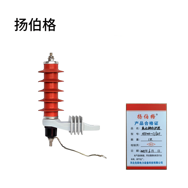 扬伯格 氧化锌防护器 HY5WS-17/50T 只高清大图