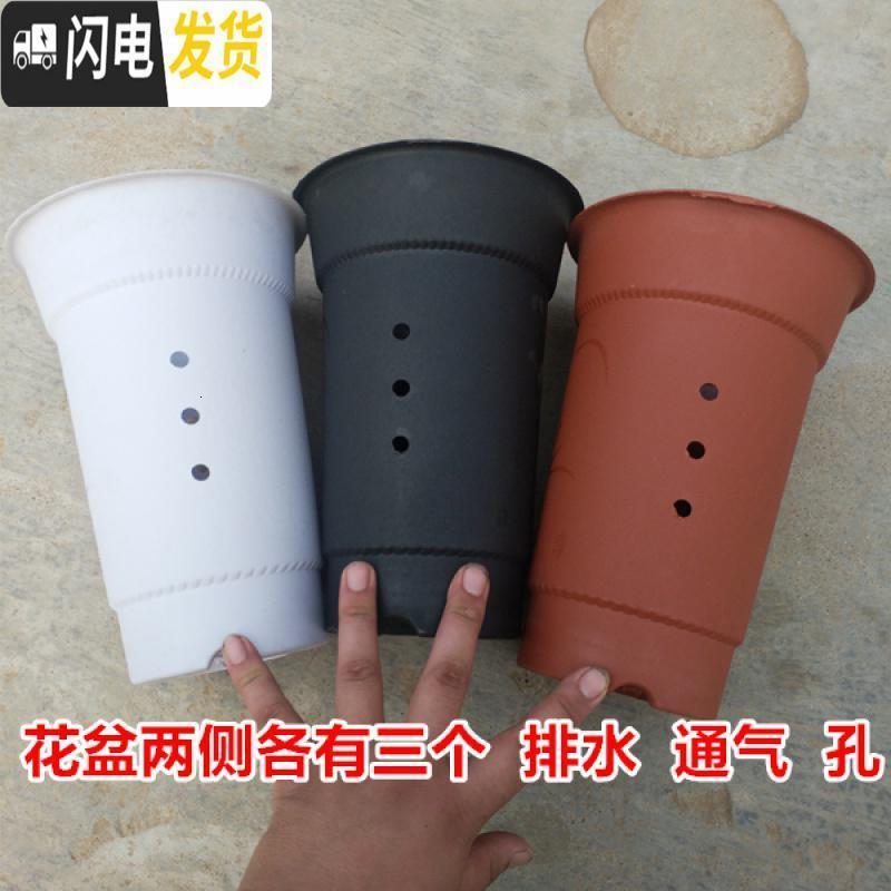 三维工匠塑料花盘 兰花专用花盆 塑料兰花盆 塑料花盆 高级兰花 黑色[大号口径18高25cm]带托盘 兰花盆[1花盆容器