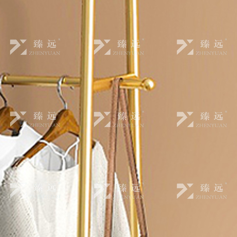 臻远 ZY4080144简约铁艺衣帽架落地衣架多功能挂衣服架子 金色100高清大图