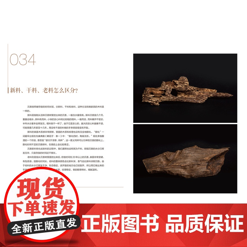 沉香文化·百问解答 周麟 著 浸润沉香世界20年的经验总结 读懂沉香100问 就读懂了沉香 上海译文出版社 正版高清大图