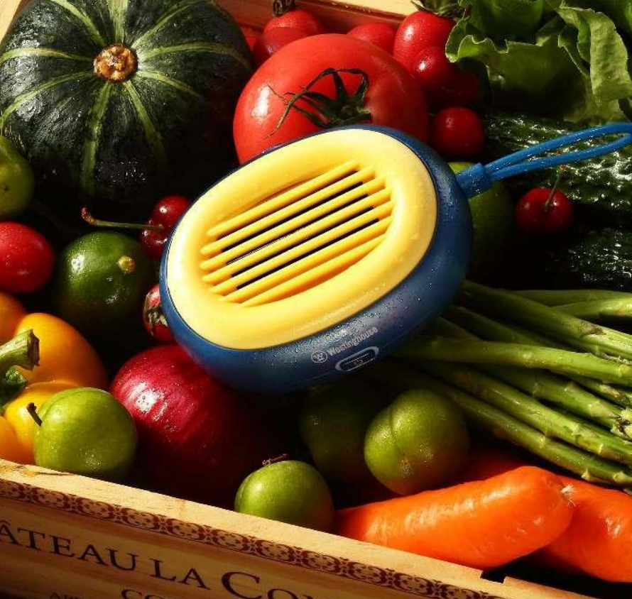 西屋WESTINGHOUSE智能果蔬清洗机WGS31高效去农残深层净化果蔬净化更健康高清大图