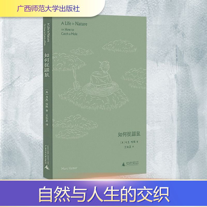 【M】如何捉鼹鼠-9787559876430