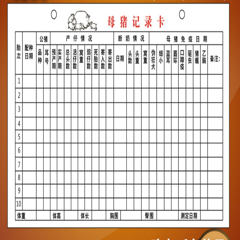 竹江 档案卡 20*15mm φ1mm