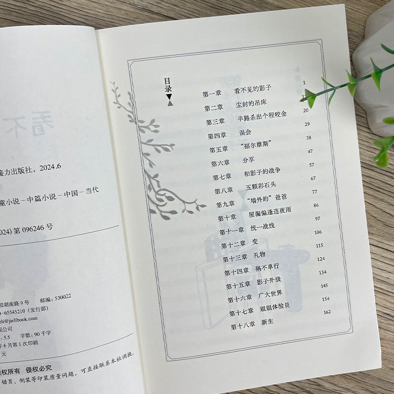 游泳的熊 [正版]看不见的影子 荆凡著 2024暑假百班千人推 荐6/六年级小学生课外阅读书籍儿童文学必读经典书目 接力