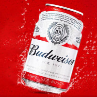 百威(Budweiser)啤酒迷你啤酒255ml*24罐整箱装