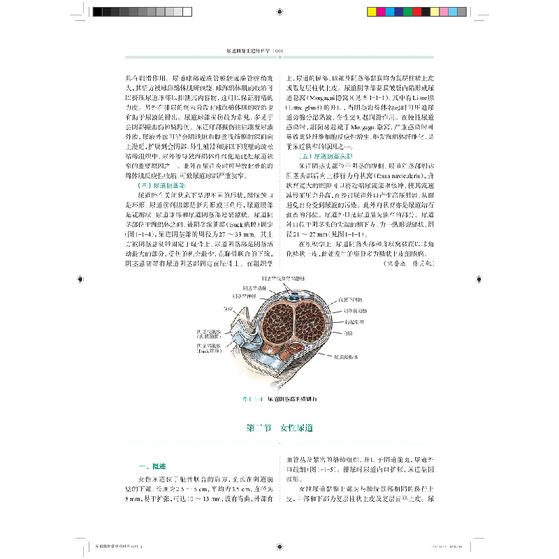 醉染图书尿道修复重建外科学9787547855645高清大图