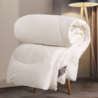 博洋家纺(Beyond Home Textile)若蓝暖芯被