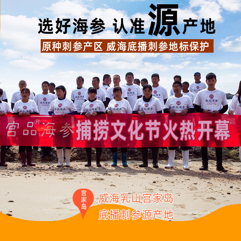 宫品海参4A淡干大海参刺参50克4-6只家庭盒装 国产生鲜 海鲜水产高清大图