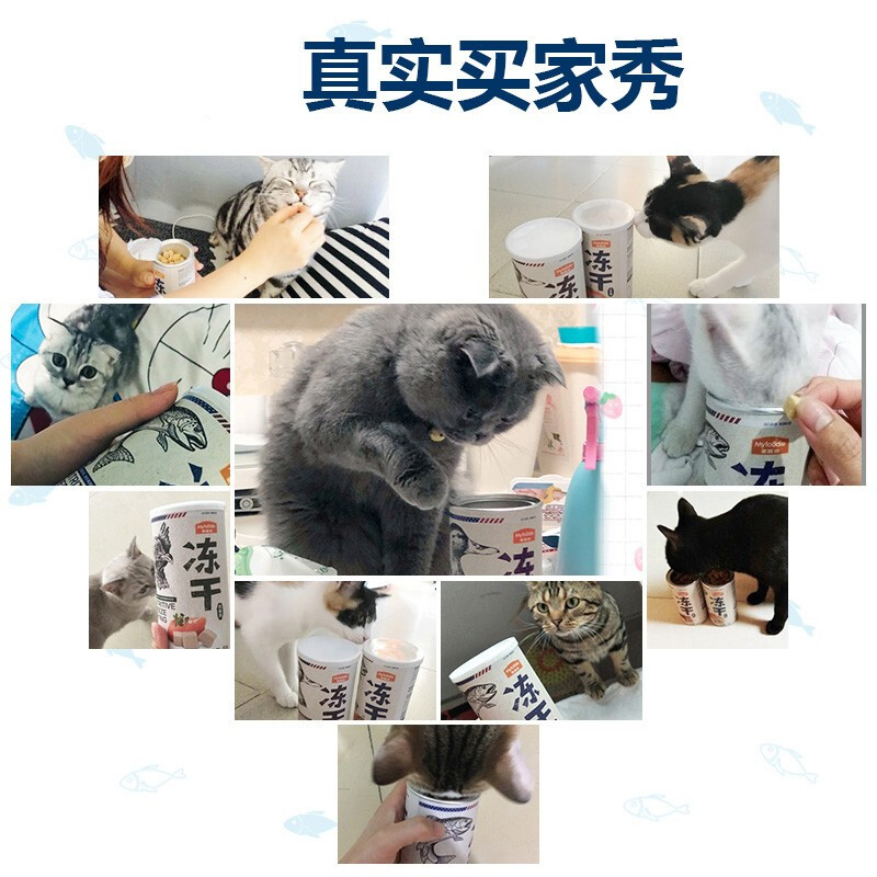 麦富迪猫零食 猫咪冻干猫粮冻干肉 小鱼干多春鱼深海鱼鸡胸肉鸭肉冻干磨牙零食 三文鱼55g(亮毛护肤)高清大图