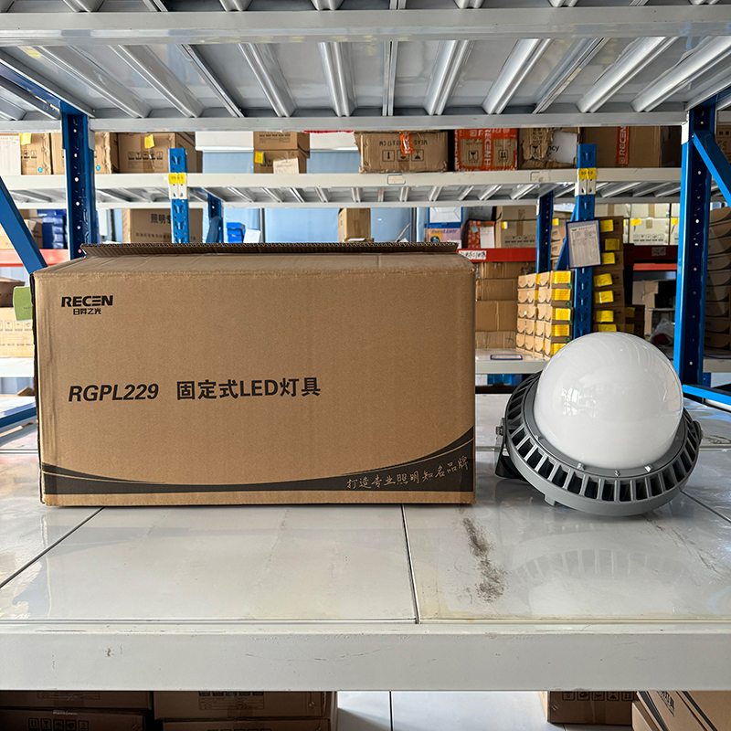 RECEN RGPL229-100W 固定式LED灯具 个高清大图