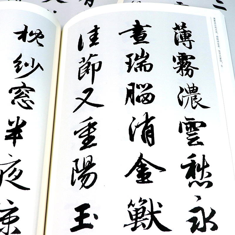 [正版]全套2册 赵孟頫宋词+唐诗 中国历代书法名家作品集字 繁简对照毛笔临帖集字古诗词赵孟俯行书楷书行草字帖临摹范本高清大图