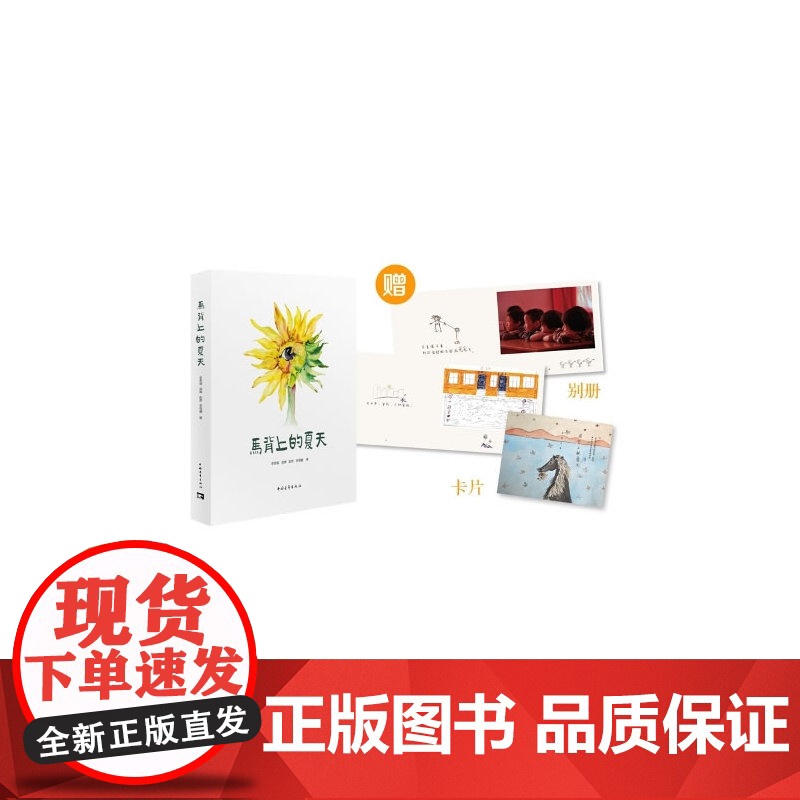 马背上的夏天:四个女孩三个夏天的支教纪实 汤珣 中国青年出版社 正版书籍高清大图