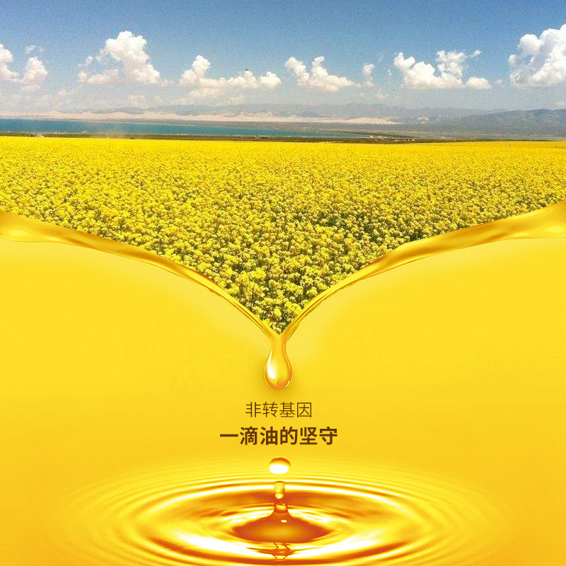 [中华特色]湟中馆 青海高原菜籽油 弘大青藏高原压榨四级1.8L 菜籽油