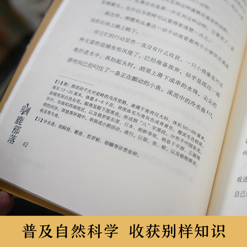 醉染图书驯鹿部落9787550267459高清大图