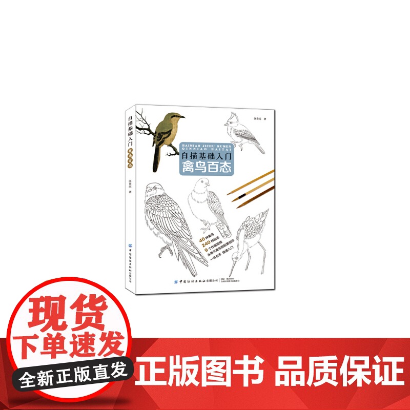 白描基础入门:禽鸟百态高清大图