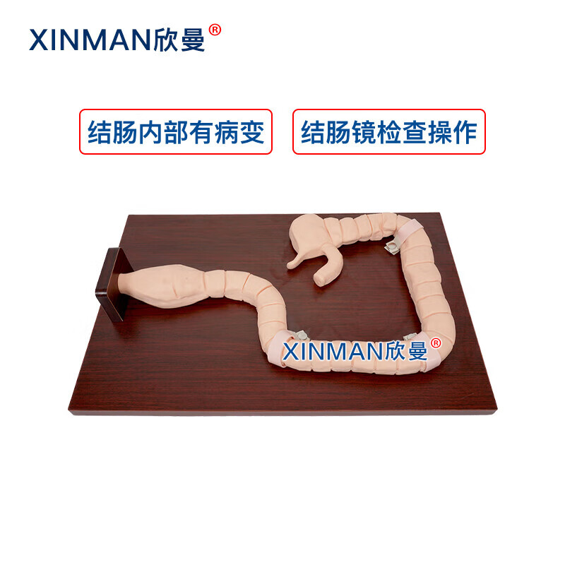 欣曼科教 乙状结肠镜检查操作训练模型 消化内镜练习模型XM-LCJ高清大图