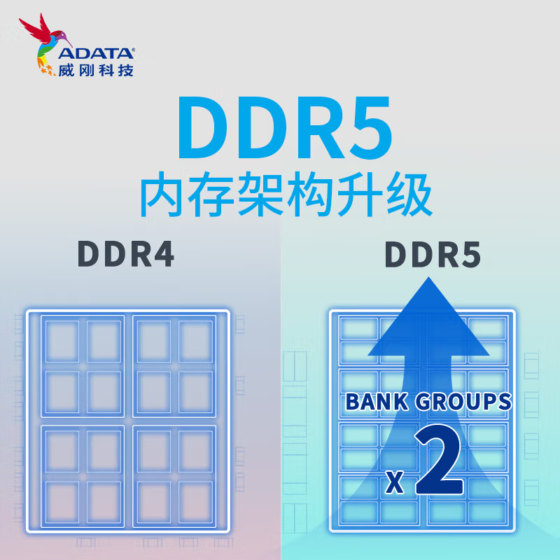威刚(ADATA)16GB DDR5 4800 台式机内存条 万紫千红