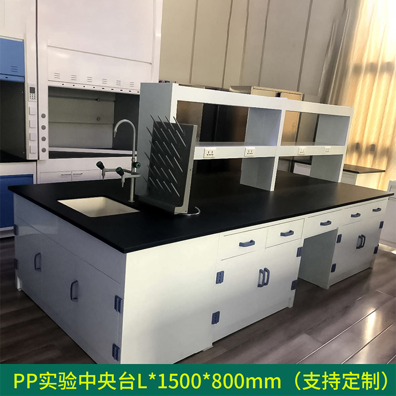 汉诺鑫威全钢实验台钢木PP边台柜试验台化验室工作台实验室桌操作台定制(每米单价)【工厂现做 7天内发货】 PP全钢中央实验台L*1500*800mm
