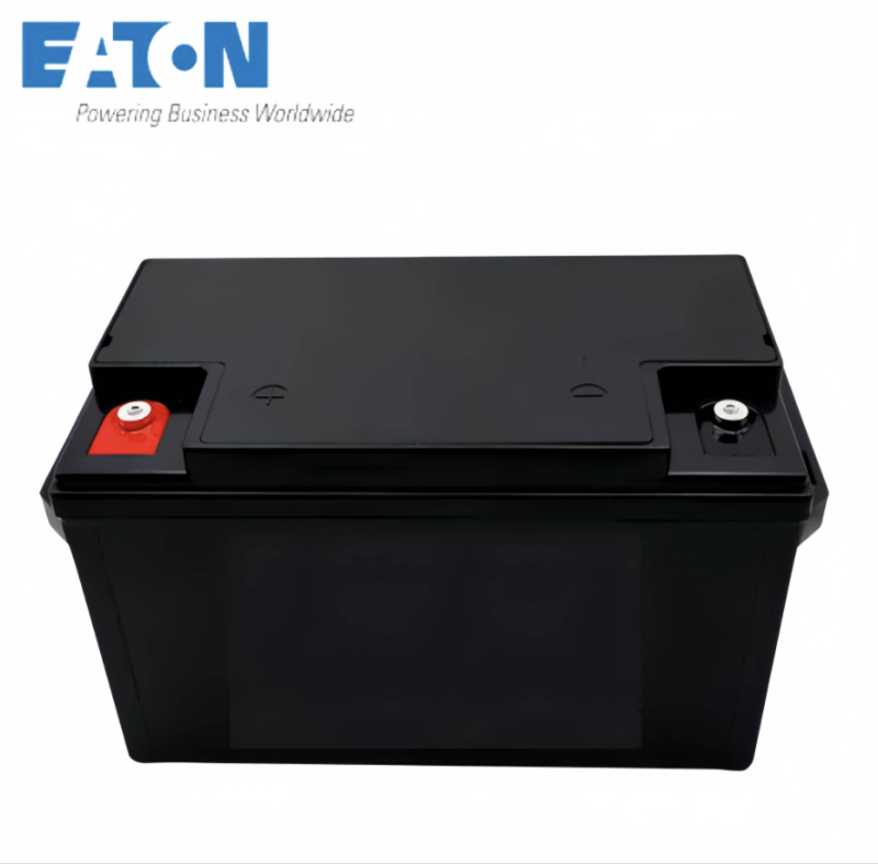 伊顿蓄电池P-ETNFLB12250-H高清大图