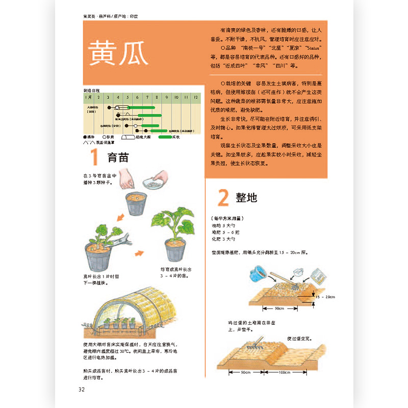 [正版]书店 种菜教室 彩色插图园艺家庭菜园种植生活百科书籍高清大图