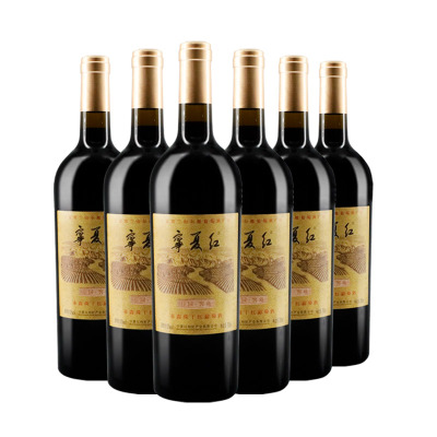 宁夏红 国产葡萄酒干红12度红酒2008庄园特选级干红6瓶整箱装沙坡头庄园赤霞珠干红