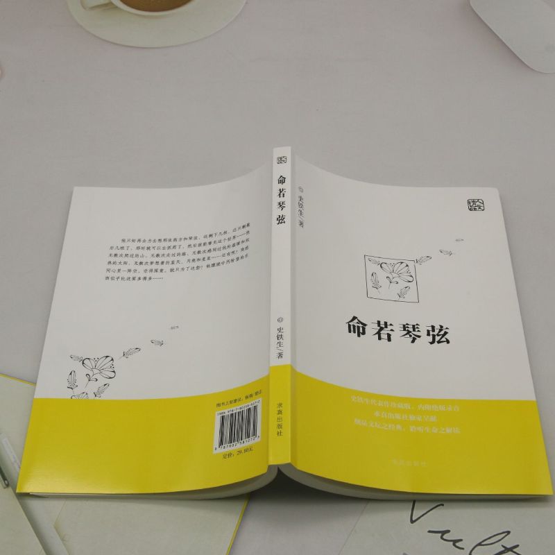 命若琴弦 [正版] 命若琴弦 史铁生 我与地坛同作者呈献细品文坛之经典聆听生命之解读文学散文随笔病隙碎笔务虚笔记史铁生文高清大图