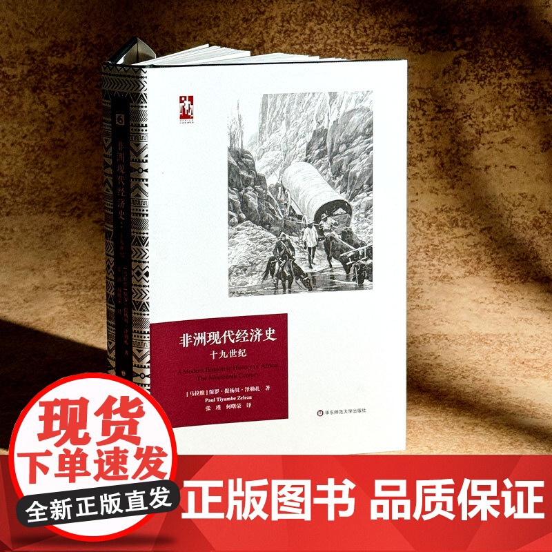 非洲现代经济史 十九世纪 六点非洲系列 精装 非洲历史研究 华东师范大学出版社高清大图