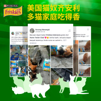 喜跃成年期全价猫粮肉、三文鱼、奶酪和菠菜味1.4kg成猫通用全价粮