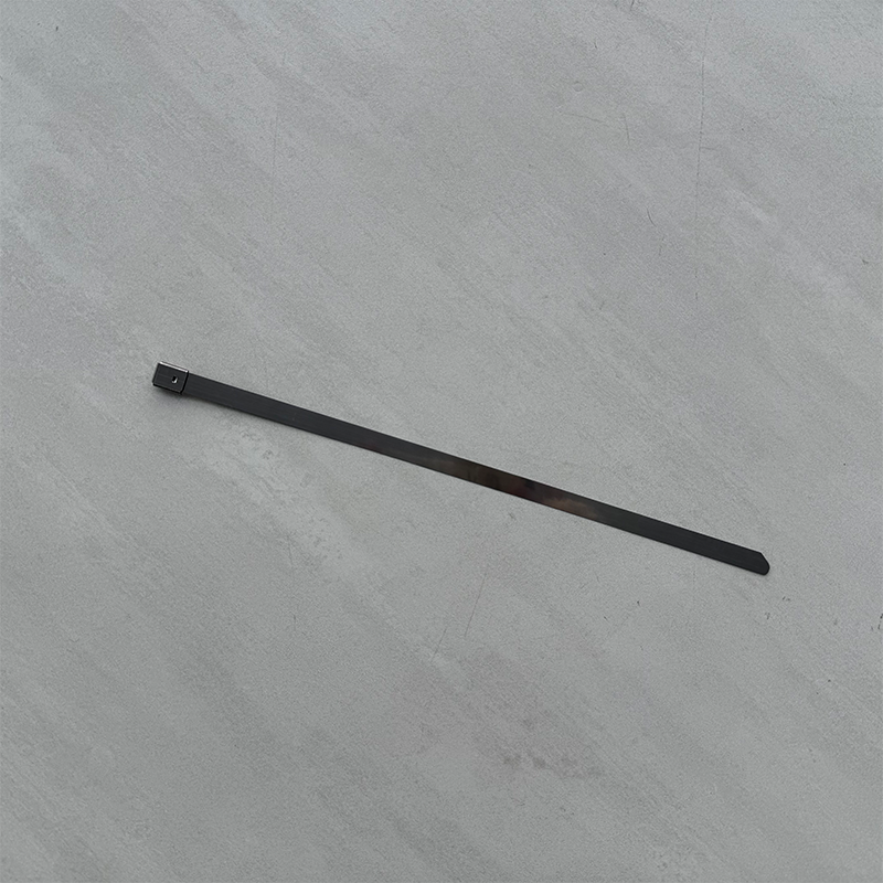 燚购304不锈钢自锁式扎带10*300mm 根高清大图