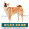 柴犬幼犬专用粮10斤装 柴犬专用狗粮幼犬成犬通用天然粮5kg日本小柴犬中大型狗粮10斤装
