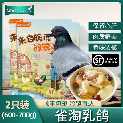 [苏鲜生推荐]雀淘 新鲜现杀乳鸽2只装 300-350g/只 原粮鸽子肉土鸽子肉鸽煲汤滋补