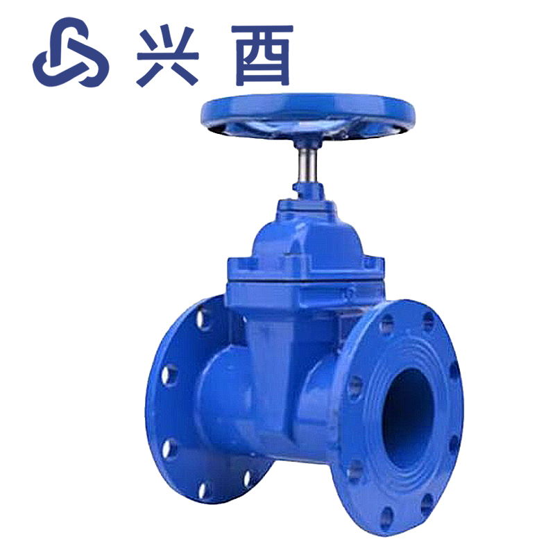 兴酉 法兰软密封暗杆闸阀 DN150 个