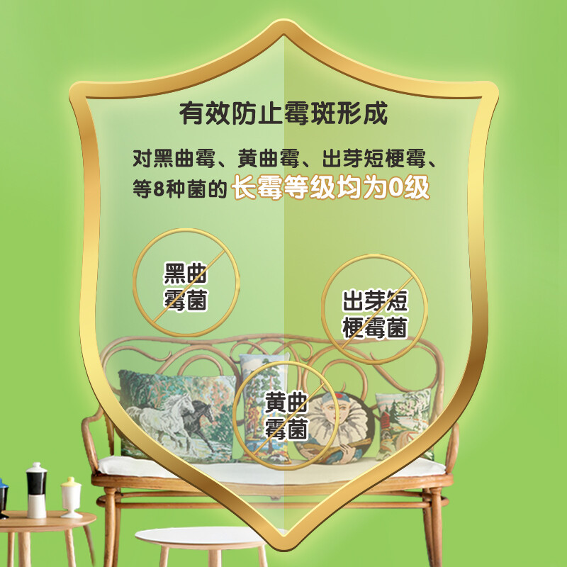 多乐士(Dulux)家丽安净味内墙乳胶漆 墙面漆油漆涂料 A991+A749 套装15L 哑光白色高清大图