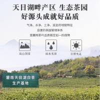 溧阳天目湖白茶2022新茶上市明前特级生态浓香麓雨绿茶江苏常州特产高端茗茶春茶礼盒装茶叶200g送礼