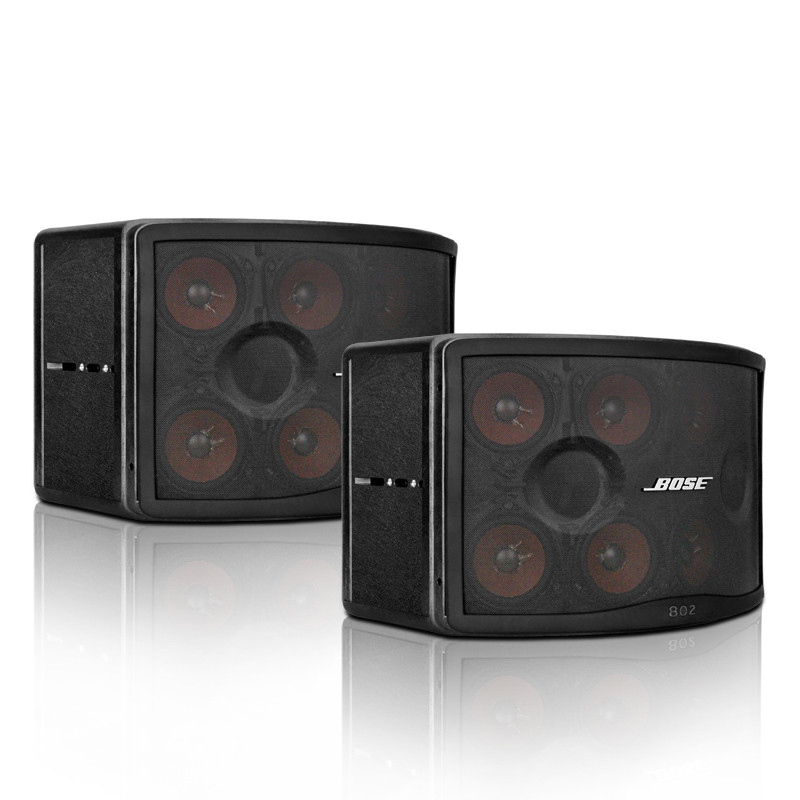 博士/BOSE 802Ⅳ 全频扬声器 会议卡拉OK音箱 全天候防水专业阵列