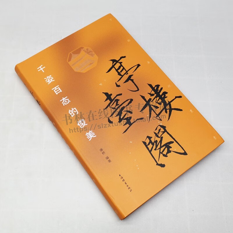 [正版]亭台楼阁千姿百态的俊美精装古迹寻踪丛书 康桥编 著 文学作品集书法篆刻字帖书籍文化研究文物考古文化古迹 上海辞书高清大图