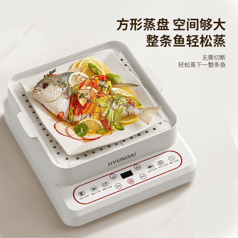 HYUNDAI 韩国现代 多功能电蒸锅XX-DZG08高清大图