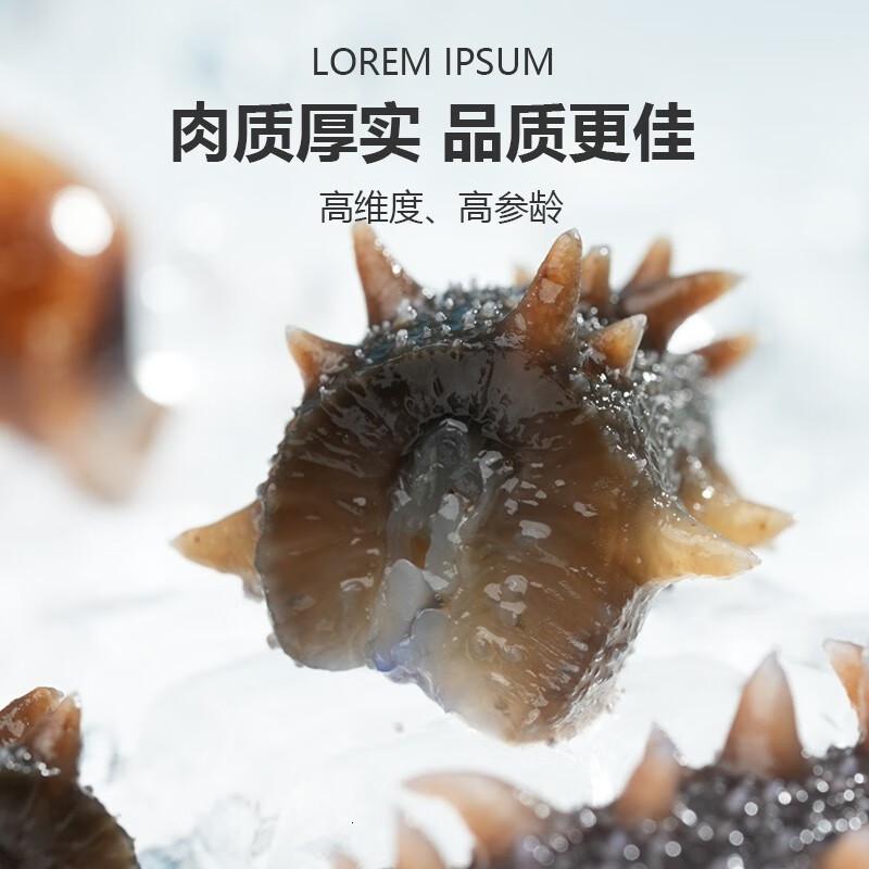 江鲜森国标鲜食海参500g8-10只固形物大于80%底播刺参高清大图