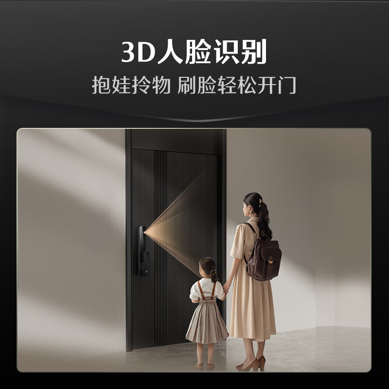 德施曼(DESMAN)智能门锁Q2FD 单位:台高清大图