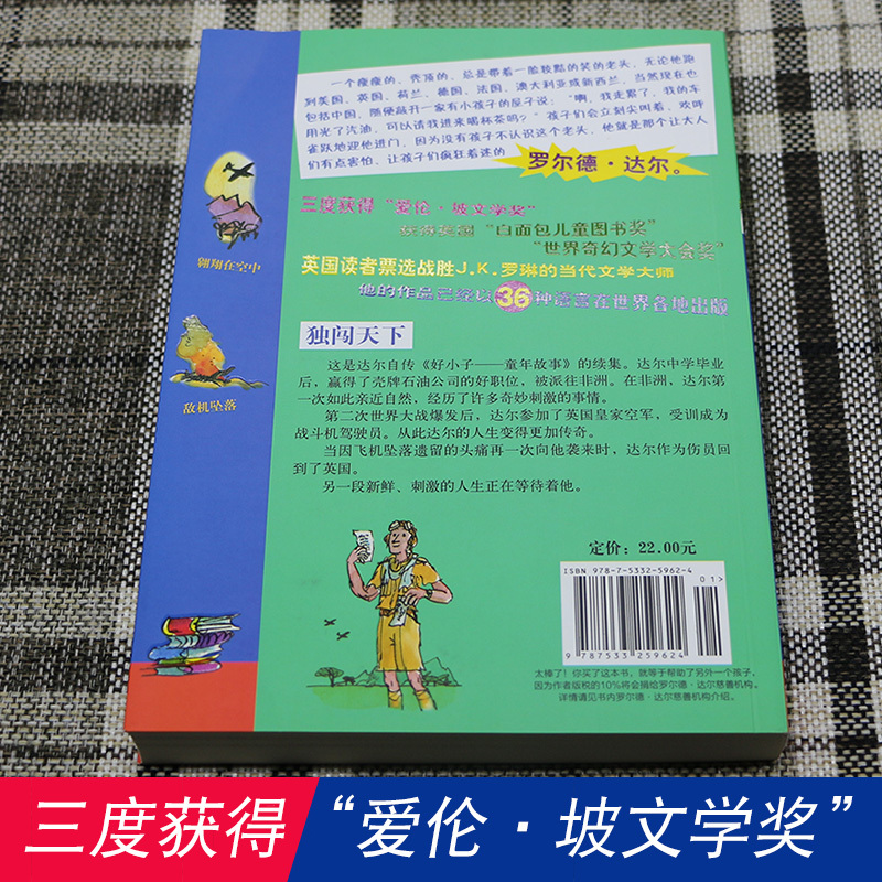 [醉染正版]正版 独闯天下 罗尔德达尔作品典藏 7-12岁儿童文学幻想故事书籍三四五六年级课外书小学生成长小说 好小子童