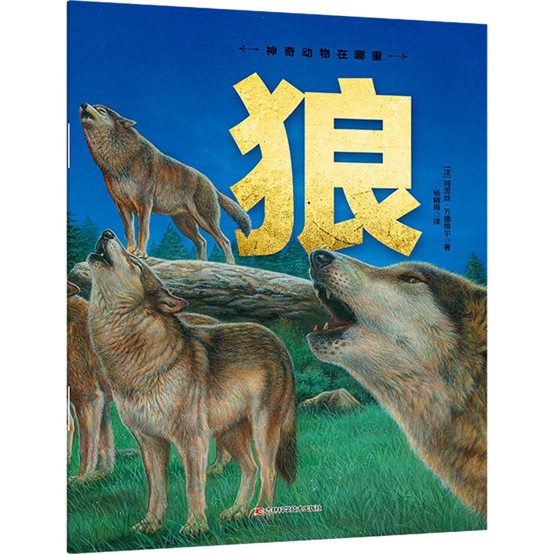 音像狼(法)阿涅丝·万德维尔