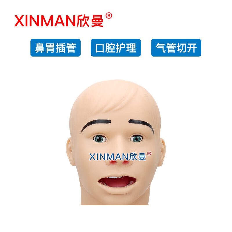欣曼 高级鼻胃插管及口腔护理模型人 鼻饲模型XM-BWGA高清大图