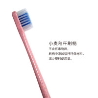 尚口清麦芽抑菌丝双支牙刷