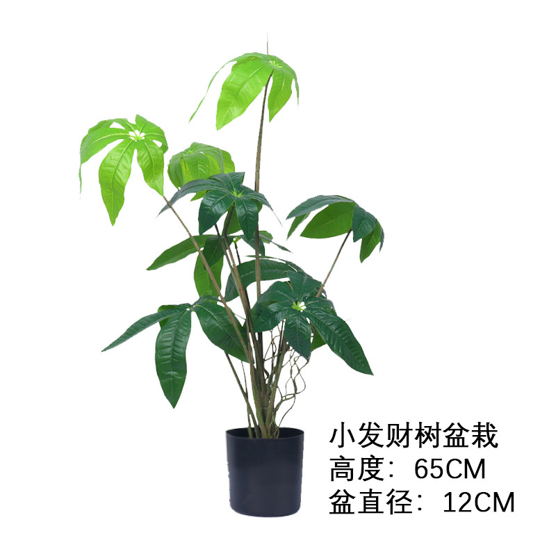 汇特益 仿真绿萝盆栽 小发财树盆栽 高度65cm 盆直径12cm(单位:盆)高清大图